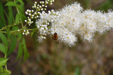 Similar image 21220980