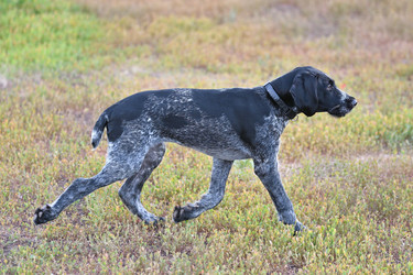 Similar image 21220981