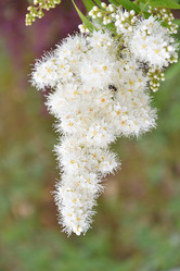 Similar image 21220982