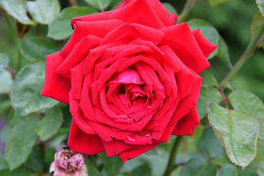 Similar image 21220984