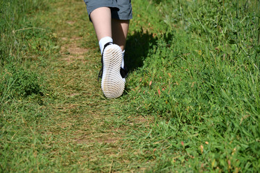 Similar image 21220989