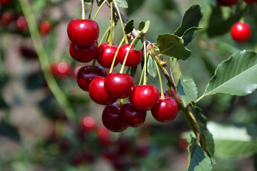 Similar image 21220991