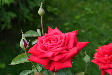 Similar image 21220993