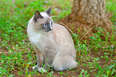 Similar image 21220994