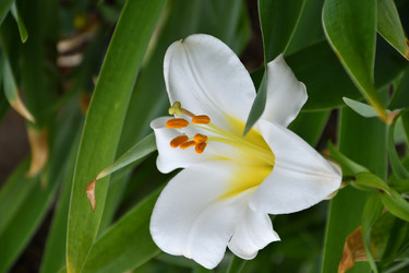 Similar image 21220996