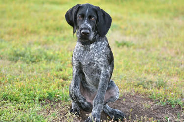 Similar image 21220997