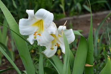 Similar image 21221000