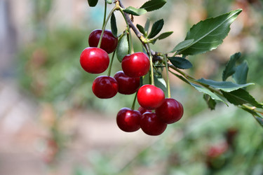 Similar image 21225842