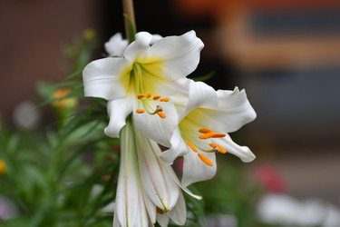 Similar image 21225844