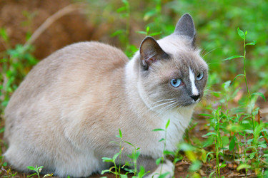 Similar image 21225845