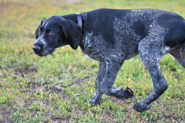 Similar image 21225848