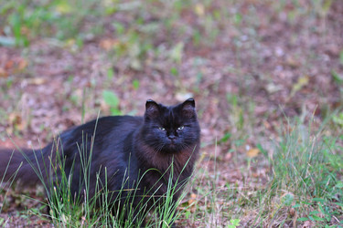 Similar image 21225849