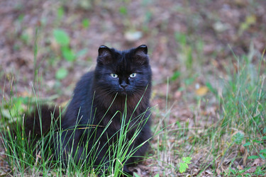 Similar image 21225851