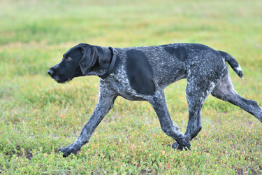 Similar image 21225854