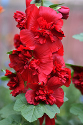 Similar image 21225855