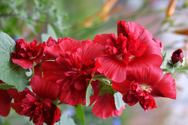 Similar image 21225859