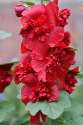 Similar image 21225861