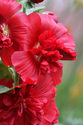 Similar image 21225862