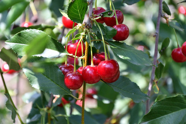 Similar image 21234845