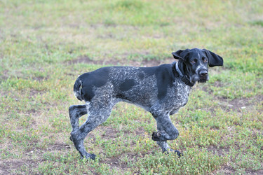 Similar image 21234846