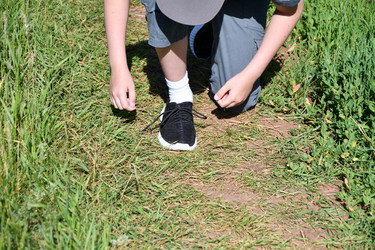 Similar image 21234848