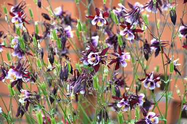 Similar image 21234849