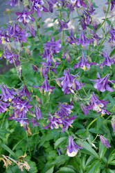 Similar image 21234853