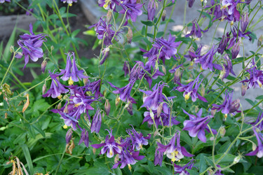 Similar image 21234891