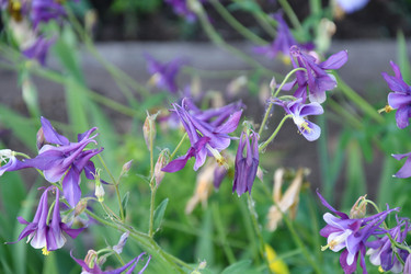 Similar image 21234893