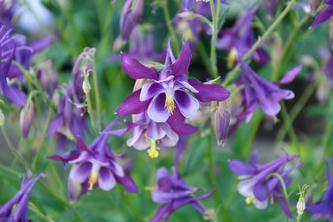 Similar image 21234895