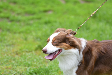 Similar image 21234896