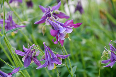 Similar image 21234897