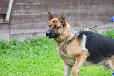 Similar image 21246906