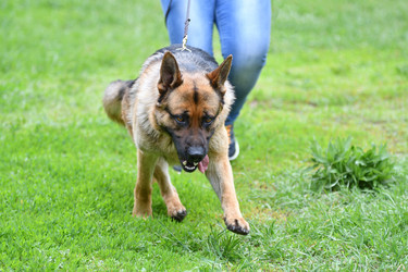 Similar image 21246908