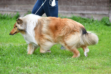 Similar image 21246909