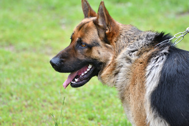 Similar image 21246911