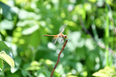 Similar image 21246930