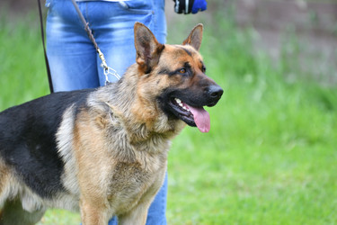 Similar image 21246931