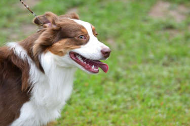 Similar image 21246934