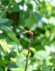 Similar image 21246936