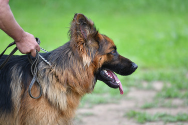 Similar image 21246938