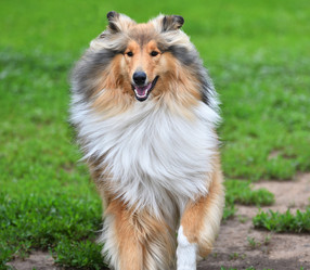 Similar image 21246939