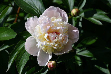 Similar image 21246962