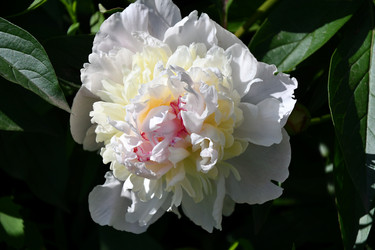 Similar image 21246963