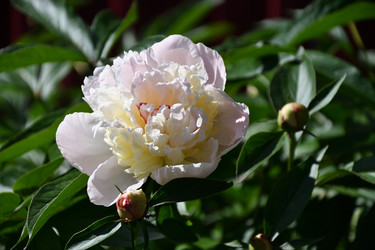 Similar image 21246965