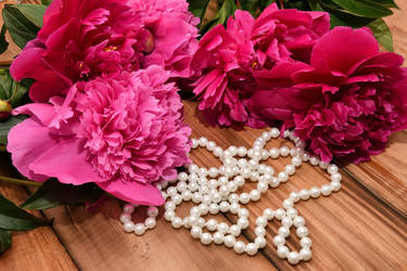 Similar image 21246966