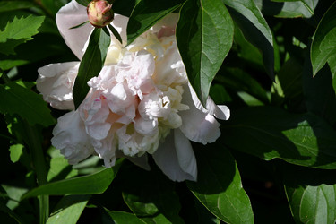 Similar image 21246968