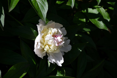 Similar image 21246969