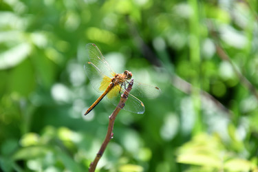 Similar image 21246970