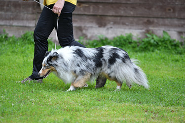 Similar image 21221004